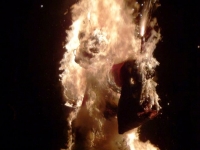 Bilder 2011