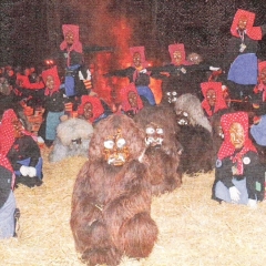 Schneckenbürgler Schneeschreck und Wollmatinger Riedhexen eröffneten die Fasnacht.