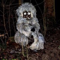 Schneeschreckerwachen in der Unikurve.
