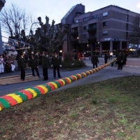 Narrenbaumstellen auf dem Gottmannplatz: Die Holzer aus Allensbach stellten den Baum wie in jedem Jahr.