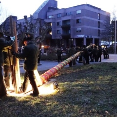 Narrenbaumstellen auf dem Gottmannplatz: Die Holzer aus Allensbach stellten den Baum wie in jedem Jahr.