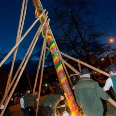 Narrenbaumstellen auf dem Gottmannplatz: Die Holzer aus Allensbach stellten den Baum wie in jedem Jahr.