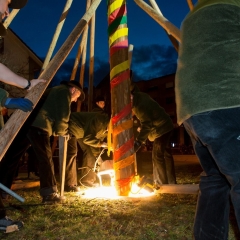 Narrenbaumstellen auf dem Gottmannplatz: Die Holzer aus Allensbach stellten den Baum wie in jedem Jahr.