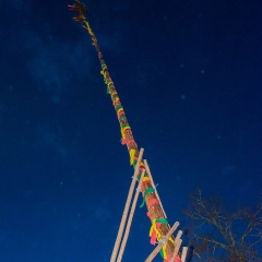 Narrenbaumstellen auf dem Gottmannplatz: Die Holzer aus Allensbach stellten den Baum wie in jedem Jahr.