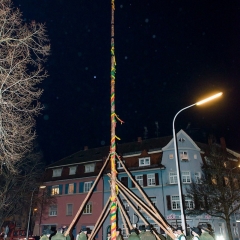 Narrenbaumstellen auf dem Gottmannplatz: Die Holzer aus Allensbach stellten den Baum wie in jedem Jahr.