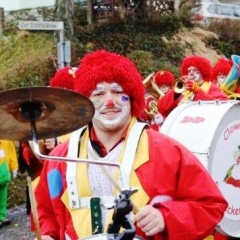 Die Clowngruppe beim Hegau-Bodensee-Umzug in Dingelsdorf.