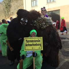 Fanfarenzug und Schneeschreck fuhren nach St Blasien zum Umzug.