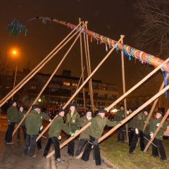 Narrenbaumstellen auf dem Gottmannplatz: Die Holzer aus Allensbach stellten den Baum.