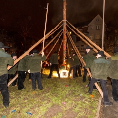 Narrenbaumstellen auf dem Gottmannplatz: Die Holzer aus Allensbach stellten den Baum.