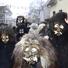 Hegau-Bodensee-Umzug in Markelfingen: Danach folgte der Schneeschreck.