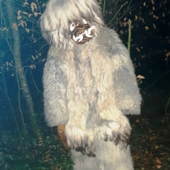 Schneeschreckerwachen in der Uni-Kurve: Ein Schneeschreck kommt aus dem Wald.