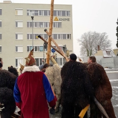 Schmutziger Donnerstag: Narrenbaumstellen vor dem Edeka.