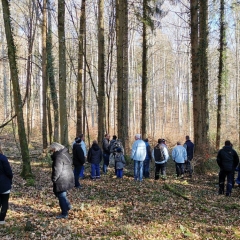 Narrenbaum holen in Hegne: Zuerst musste der Baum ausgesucht werden.