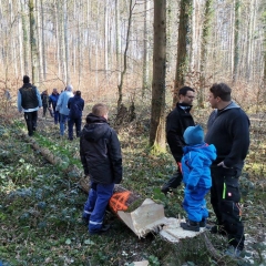 Narrenbaum holen in Hegne: Der Baum lag und wurde begutachtet.