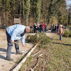 Narrenbaum holen in Hegne: Alle durften mal ran.