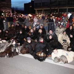 Narrenbaum stellen: Der Schneeschreck lag auf der Strasse.