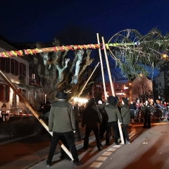 Narrenbaum stellen: Die Holzer aus Allensbach stellten den Baum.