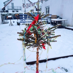 Die Mitglieder der Schneckenburg dekorierten Ihre Fassaden.