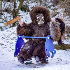 Vereinzelt konnte man den Schneeschreck auch im Freien sehen.