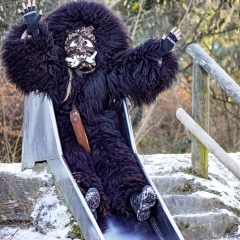 Vereinzelt konnte man den Schneeschreck auch im Freien sehen.