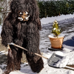 Vereinzelt konnte man den Schneeschreck auch im Freien sehen.