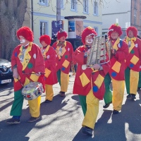 Umzug in Konstanz: Die  Clowngruppe der Schneckenburg