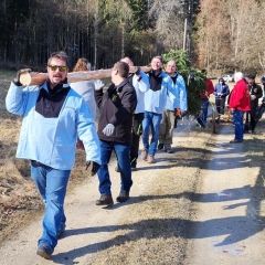 Narrenbaumholen in Hegne: Wanderung mit Baum nach Konstanz.