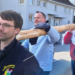 Narrenbaumholen in Hegne: Wanderung mit Baum nach Konstanz.