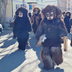 Umzug in Konstanz: Der Schneeschreck der Schneckenburg.