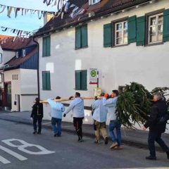 Narrenbaumholen in Hegne: Der Baum war in Wollmatingen angekommen.