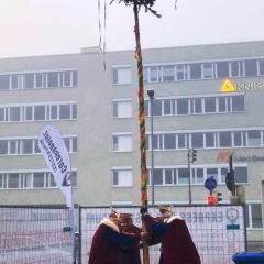 Schmutziger Donnerstag: Der Narrenbaum wurde vor dem Edeka hestellt.