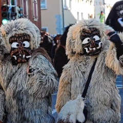 See-Narrentreffen in Litzelstetten mit dem Schneeschreck.