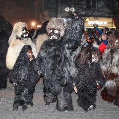 Konstanzer Butzenlauf mit den Schneeschrecken.