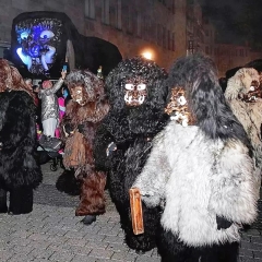 Konstanzer Butzenlauf mit den Schneeschrecken.