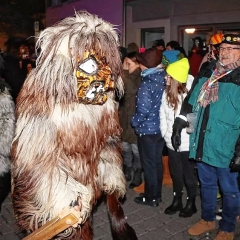 Konstanzer Butzenlauf mit den Schneeschrecken.