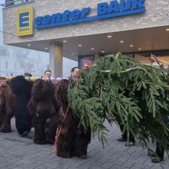 Schmutziger Donnerstag: Narrenbaum stellen vor dem Edeka.