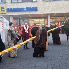 Schmutziger Donnerstag: Narrenbaum stellen vor dem Edeka.