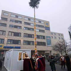 Schmutziger Donnerstag: Narrenbaum stellen vor dem Edeka.