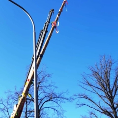 Aschermittwoch Narrenbaum fällen: Am Gottmannplatz.