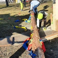 Aschermittwoch Narrenbaum fällen: Am Gottmannplatz.