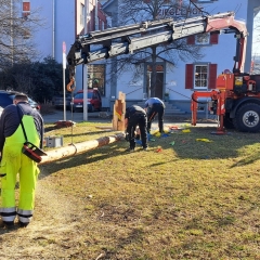Aschermittwoch Narrenbaum fällen: Am Gottmannplatz.