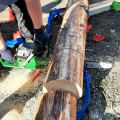 Aschermittwoch Narrenbaum fällen: Am Gottmannplatz.