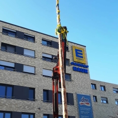 Aschermittwoch Narrenbaum fällen: Beim Edeka.