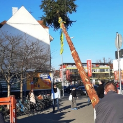 Aschermittwoch Narrenbaum fällen: Beim Edeka.