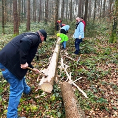 Narrenbaum Holen im Hegner Wald: Nach dem Fällen wurde erst mal geräppelt.