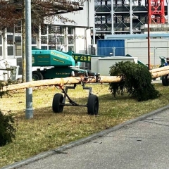 Narrenbaum Holen im Hegner Wald: Bis zum Stellen lagerte der Baum sicher bei der Stadtwerke.