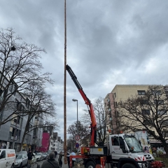 Narrenbaumstellen auf dem Gottmannplatz: Vor dem Start des Umzuges musste der Baum gedreht werden.