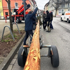 Narrenbaumstellen auf dem Gottmannplatz:  Der Baum lag für den Umzug parat.