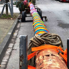 Narrenbaumstellen auf dem Gottmannplatz:  Der Baum lag für den Umzug parat.