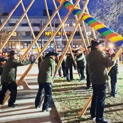 Narrenbaumstellen auf dem Gottmannplatz: Die Holzer aus Allensbach stellten den Baum routiniert.